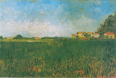 Farmhouses in a Wheat Field near Arles